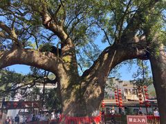 -新安江山水画廊风景区