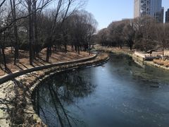 -大望京公园