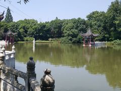 -青龙山国家森林公园