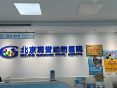 -北京观赏动物医院·24小时大型综合·猫专科·异宠专科