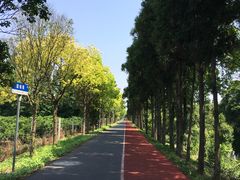 -上海长兴岛郊野公园