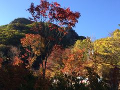 -丹东天桥沟景区