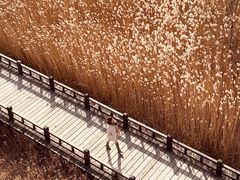 -野鸭湖国家湿地公园