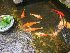 -馨园villa融合菜(东山店)