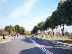 -羊山湖公园