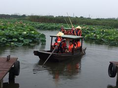 -荷塘月色湿地公园·向阳花洲