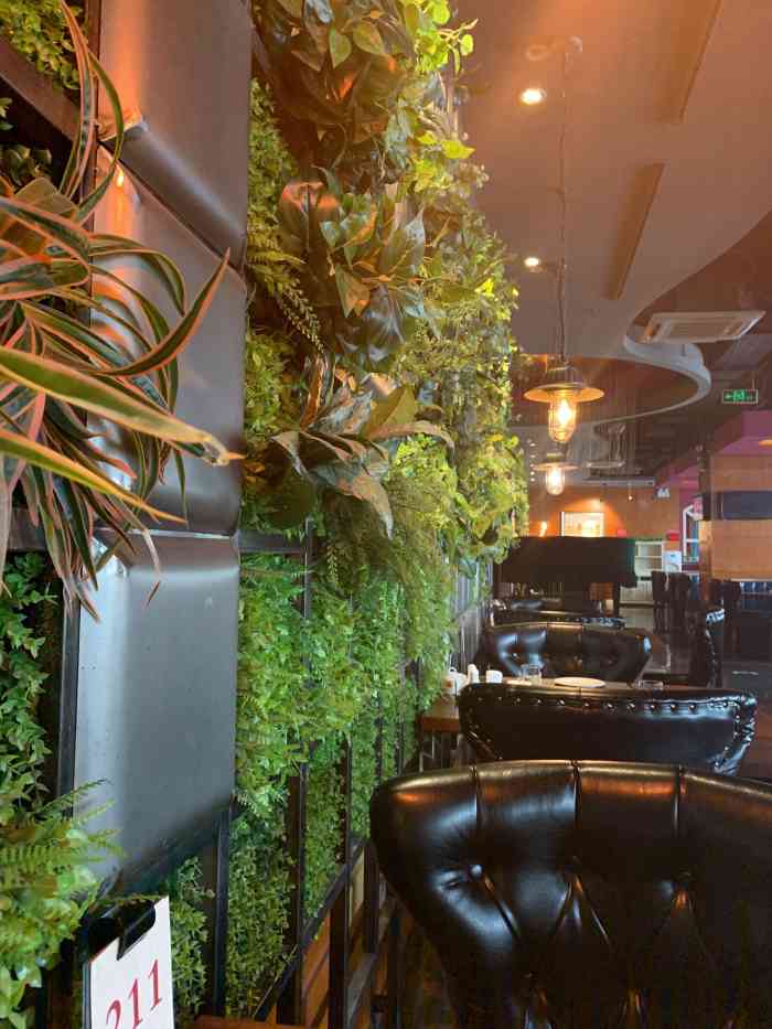 一阳咖啡(友好路店)-"开业时间太晚,让人不适应!马丁尼太难喝了.