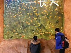 -杭州开元森泊度假乐园