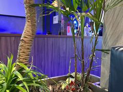 -bluefrog蓝蛙(皇庭广场店)