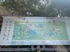 -上海海湾国家森林公园