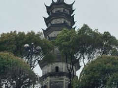 -苏州上方山国家森林公园