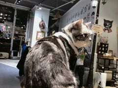 -小时光咖啡馆(开森度假森林店)