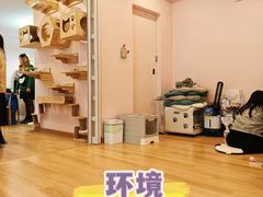 -猫咪派对(江南西店)