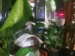 -草原塞蛮羊火锅城(港湾店)