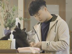 -有猫主题·治愈系猫咖(曾厝垵店)