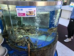 -欢乐海岸美食联盟