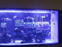 -上和臻品中国菜(花园街店)