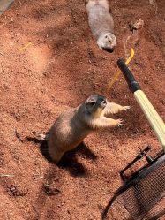 -Zoolung Zoolung动物主题公园(海信广场店)