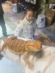 -酷嗒动物文化乐园(cutezoo西溪乐天城店)