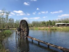 -合肥滨湖国家森林公园