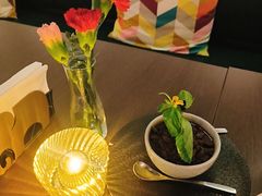 -Shantek象提南亚餐厅&西餐融合Bistro(淮海中路店)