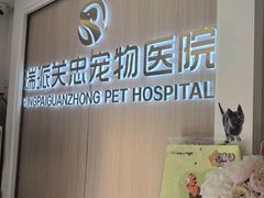 -瑞派·关忠动物医院·猫专科·犬专科(三环新城店)