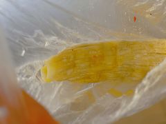 -小红旗臭豆腐炸冷面(万达店)