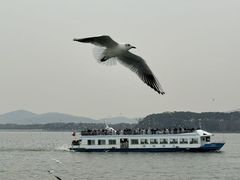 -毛华美食(清扬路店)