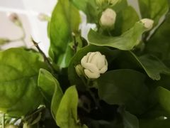 -万达影城(南昌红谷滩IMAX激光店)