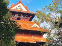 -东湖磨山景区