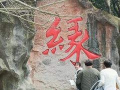 -杭州黄龙洞
