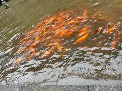-刘伯温故里景区百丈漈