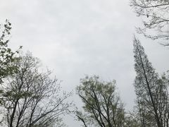 -青城道汤池