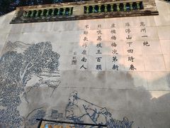 -广州神农草堂中医药博物馆