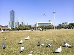 -大连人民广场