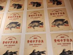 -费明中罗非鱼(大石坝店)