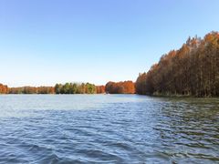 -上海海湾国家森林公园