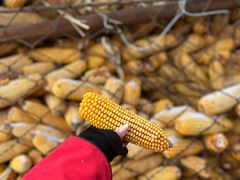 -长春莲花山滑雪场