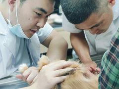 -宠福鑫康馨动物医院·骨科·眼科