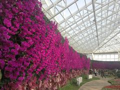 -石家庄市植物园