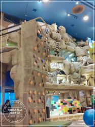 -卡通尼·Safari非洲探索乐园·生日会(金桥国际商业广场店)