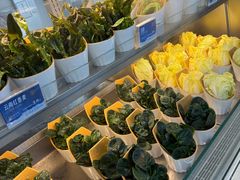 -海底捞大排档火锅(打浦路店)