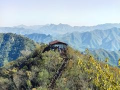 -大岭沟猕猴桃谷风景区