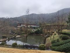 -桃花岭景区