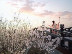 -九月鹰飞汉服摄影工作室