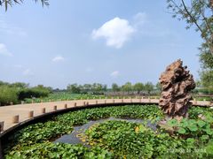 -绿堤公园