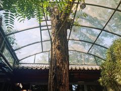 -zarah(鼓楼店)