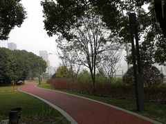 -北外滩滨江绿地