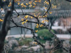 -太平天国历史博物馆(瞻园)