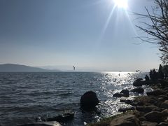 -才村湿地公园